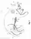 Fig. 04 - Therapeutic stuffed animal