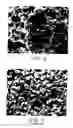 Fig. 03 - Porous abrasive articles with agglomerated abrasives and method for making the agglomerated abrasives