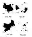 Fig. 06 - Materials and methods for low pressure chemical-mechanical planarization