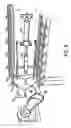 Fig. 07 - High capacity food processing system