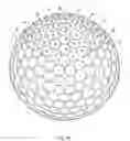 Fig. 11 - Golf ball