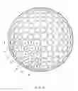 Fig. 14 - Golf ball
