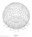 Fig. 16 - Golf ball