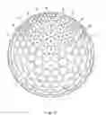 Fig. 18 - Golf ball