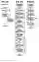 Fig. 03 - Driving force control apparatus and method for hybrid vehicle
