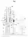 Fig. 02 - Training machine