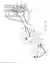 Fig. 07 - Multipurpose exerciser