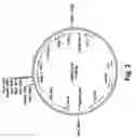 Fig. 04 - Method of imparting disease resistance to plants by reducing polyphenol oxidase activities