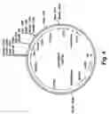 Fig. 05 - Method of imparting disease resistance to plants by reducing polyphenol oxidase activities