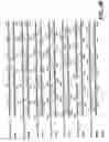 Fig. 09 - Proteases from gram positive organisms