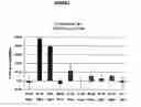 Fig. 02 - Methods of treating conditions associated with an EDG-2 receptor