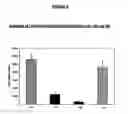 Fig. 07 - Methods of treating conditions associated with an EDG-2 receptor