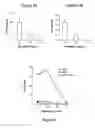 Fig. 04 - Process for isolating physalins from plants and pharmaceutical compositions containing physalins