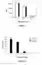 Fig. 06 - Process for isolating physalins from plants and pharmaceutical compositions containing physalins