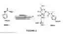 Fig. 04 - Selective targeting of apoptotic cells