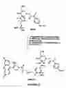 Fig. 06 - Selective targeting of apoptotic cells