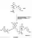 Fig. 07 - Selective targeting of apoptotic cells