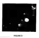 Fig. 09 - Selective targeting of apoptotic cells