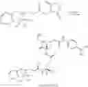 Fig. 22 - Selective targeting of apoptotic cells