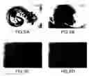 Fig. 07 - Modulation of angiogenesis