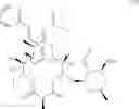 Fig. 26 - Antimicrobial derivatives