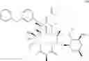 Fig. 34 - Antimicrobial derivatives