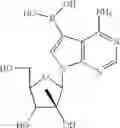 Fig. 09 - Nucleoside compounds for treating viral infections