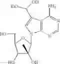 Fig. 10 - Nucleoside compounds for treating viral infections