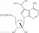 Fig. 13 - Nucleoside compounds for treating viral infections