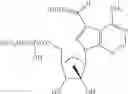 Fig. 16 - Nucleoside compounds for treating viral infections