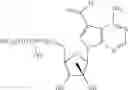 Fig. 19 - Nucleoside compounds for treating viral infections