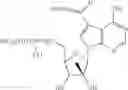 Fig. 20 - Nucleoside compounds for treating viral infections