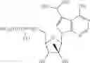 Fig. 22 - Nucleoside compounds for treating viral infections