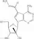 Fig. 23 - Nucleoside compounds for treating viral infections