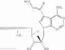 Fig. 25 - Nucleoside compounds for treating viral infections