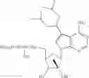 Fig. 29 - Nucleoside compounds for treating viral infections