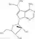 Fig. 44 - Nucleoside compounds for treating viral infections