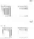Fig. 03 - Lipase inhibiting composition
