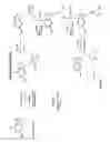 Fig. 02 - Preparation of purines