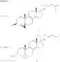 Fig. 05 - Meiosis regulating compounds