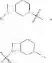 Fig. 19 - Substituted diazabicycloalkane derivatives