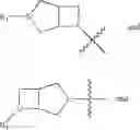 Fig. 40 - Substituted diazabicycloalkane derivatives
