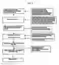 Fig. 02 - Oral liquid formulations of methotrexate