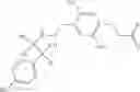 Fig. 26 - Pharmaceutical composition containing a beta-3-adrenoceptor agonist and an alpha antagonist and/or a 5-alpha reductase inhibitor