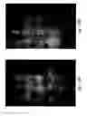 Fig. 30 - Compositions and methods for treating or preventing diseases of body passageways