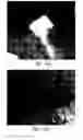 Fig. 65 - Compositions and methods for treating or preventing diseases of body passageways