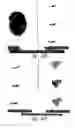 Fig. 68 - Compositions and methods for treating or preventing diseases of body passageways
