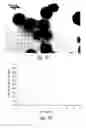 Fig. 76 - Compositions and methods for treating or preventing diseases of body passageways