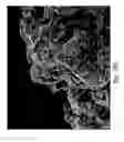 Fig. 84 - Compositions and methods for treating or preventing diseases of body passageways