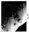 Fig. 85 - Compositions and methods for treating or preventing diseases of body passageways